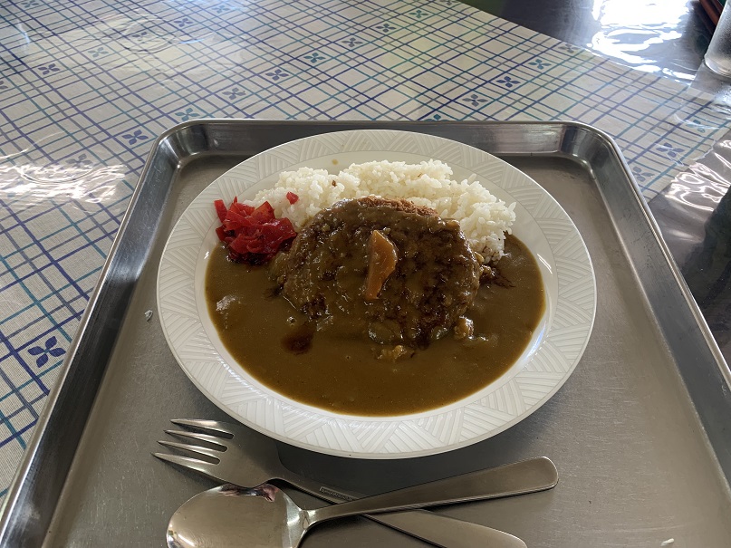 ハンバーグカレー